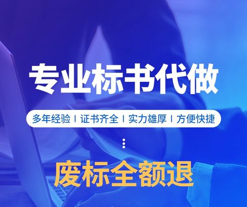 專業(yè)標(biāo)書代做